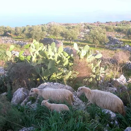 Holiday home Kefalas Near Almyrida Sea View Chania (Crete)